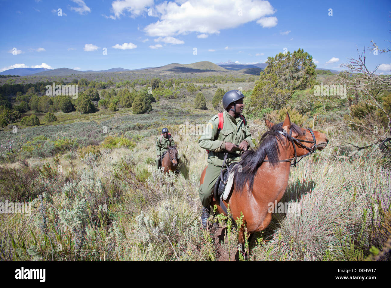 Anti-caccia di frodo unità di pattuglia a cavallo, Monte Kenya National Park, Kenya Foto Stock