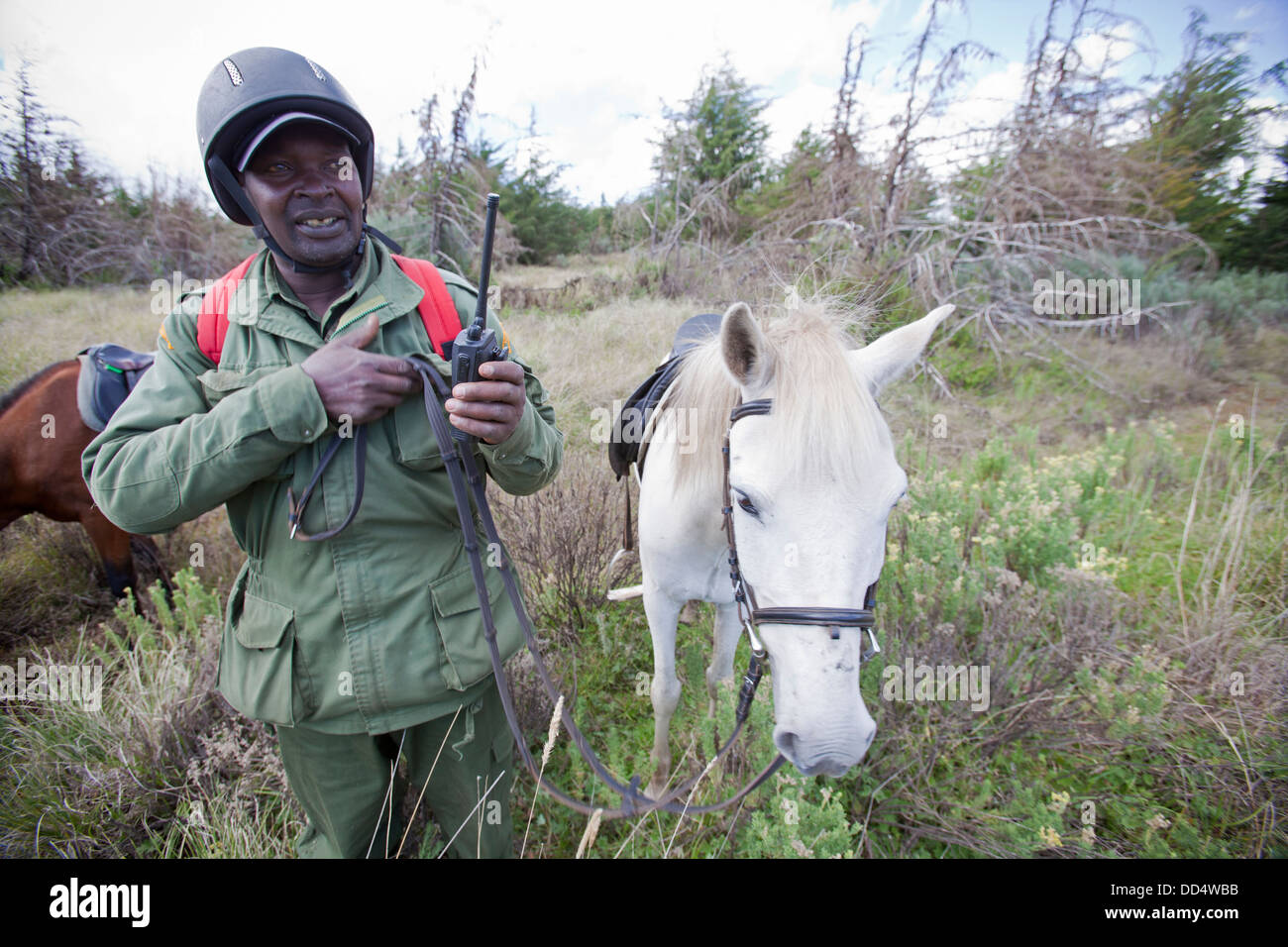 Anti-caccia di frodo unità di pattuglia a cavallo dare aggiornamento radio, Monte Kenya National Park, Kenya Foto Stock