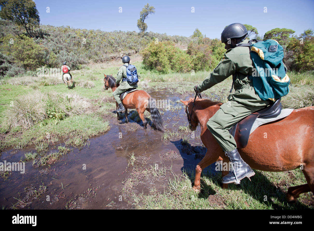 Anti-bracconaggio in pattuglia a cavallo tra torbiera, Monte Kenya National Park, Kenya Foto Stock
