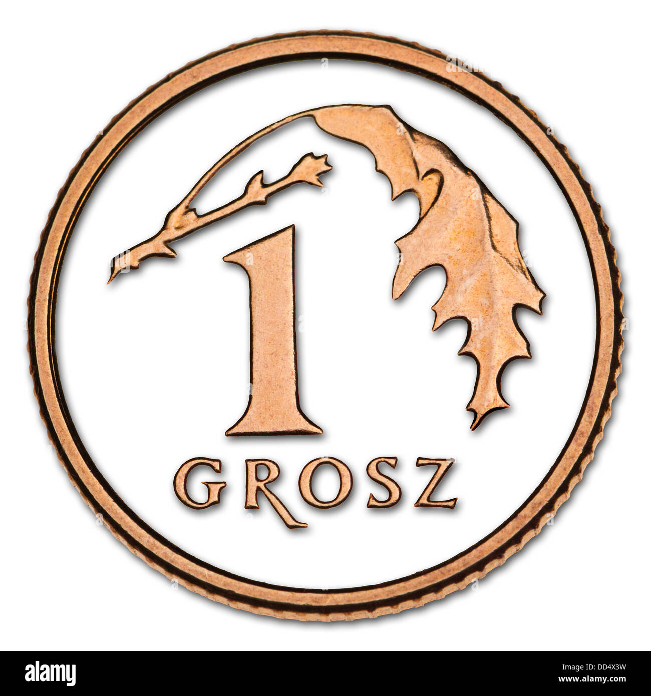 Il polacco coin - 1 Grosz. Dettagli intaglio, con ombra Foto Stock