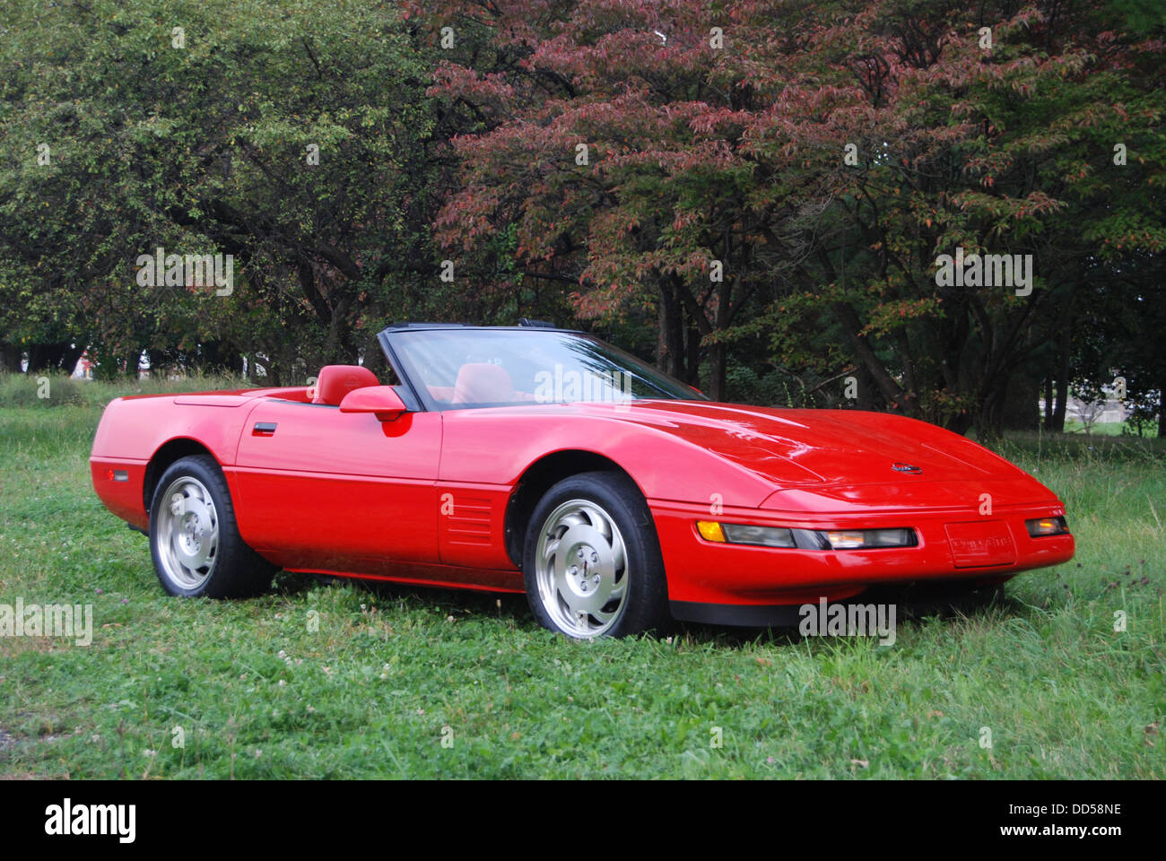 1994 Red Corvette Foto Stock
