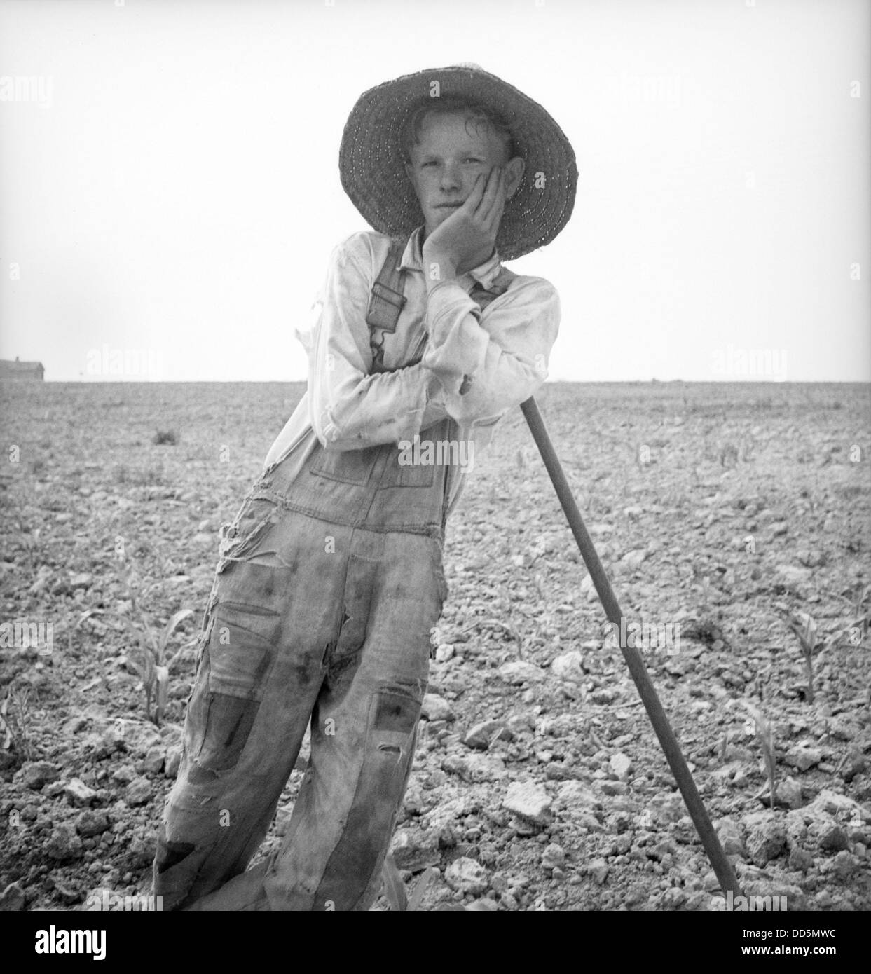 Poveri bianchi farm boy appoggiata sulla sua zappa nella Carolina del Nord. Luglio 1936. Fotografia di Dorothea Lange. (BSLOC_2013_6_87) Foto Stock