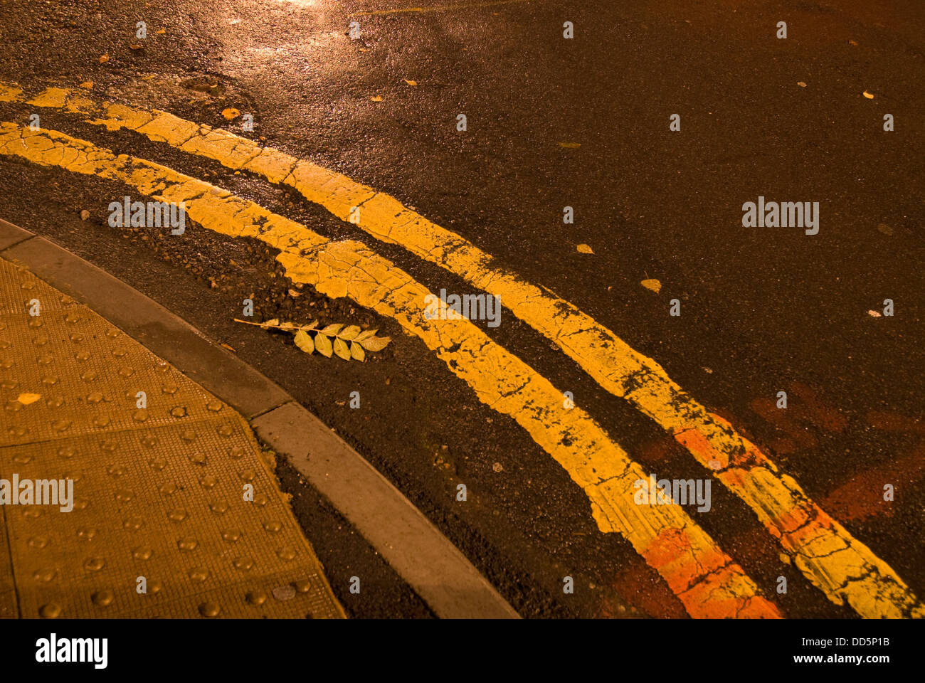 Foglie morte che giace accanto a una doppia linea gialla su una strada bagnata di notte Foto Stock