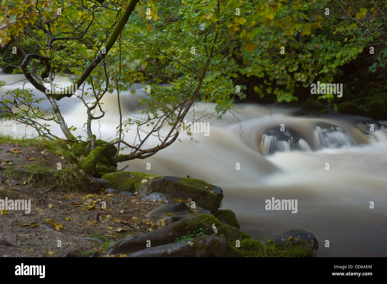 Veloce che scorre acqua che scorre verso il basso un flusso verso una cascata nel distretto del lago. Foto Stock