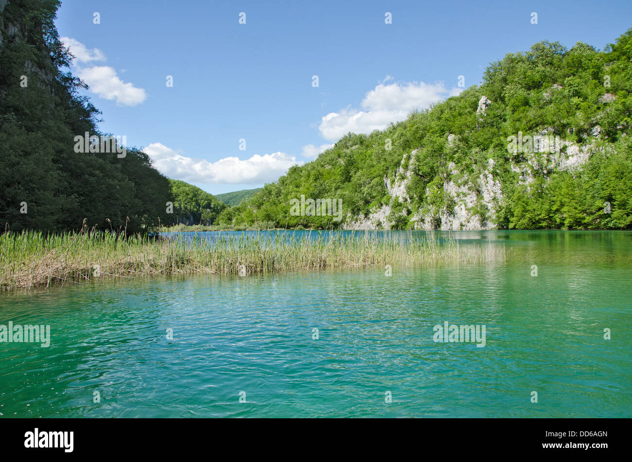 Laghi di Plitvice Lago di colore turchese. Croazia Foto Stock