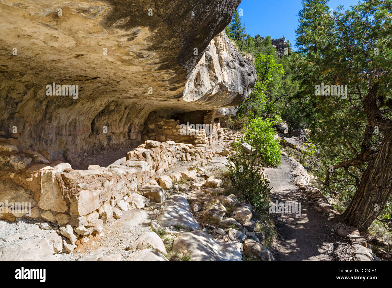 Sinagua cliff dwellings a Walnut Canyon National Monument, vicino a Flagstaff, in Arizona, Stati Uniti d'America Foto Stock