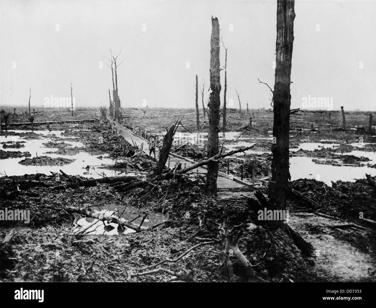 Guerra mondiale 1. Terra di nessuno - una volta una foresta in "Fiandre i campi dell' dopo quattro anni come un campo di battaglia nella guerra mondiale 1. Foto ca. Foto Stock