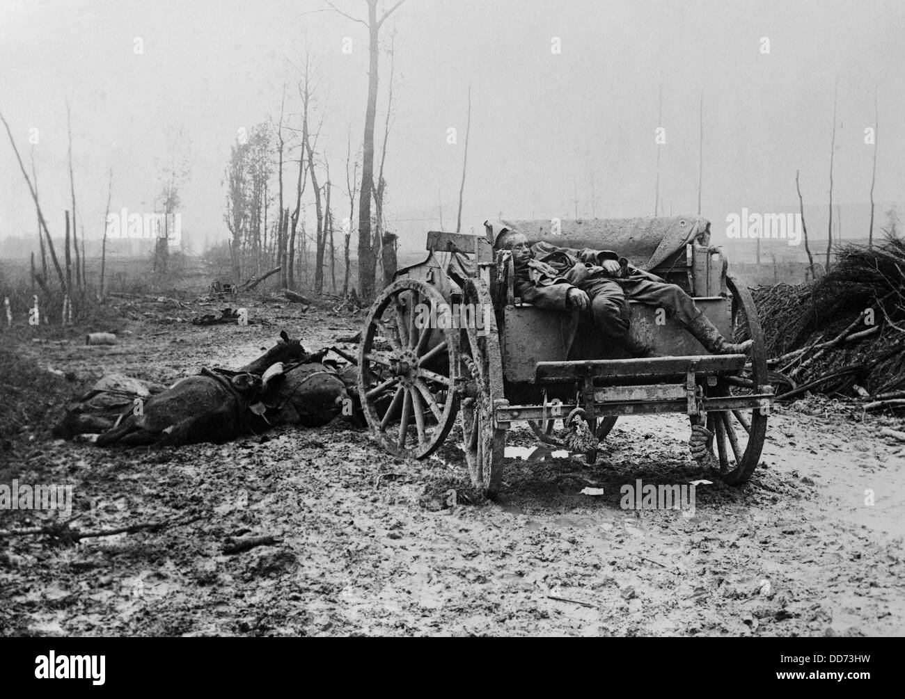 Dead WW1 Artilleryman tedesco e cavalli. 1914-18. (BSLOC 2012 4 61) Foto Stock