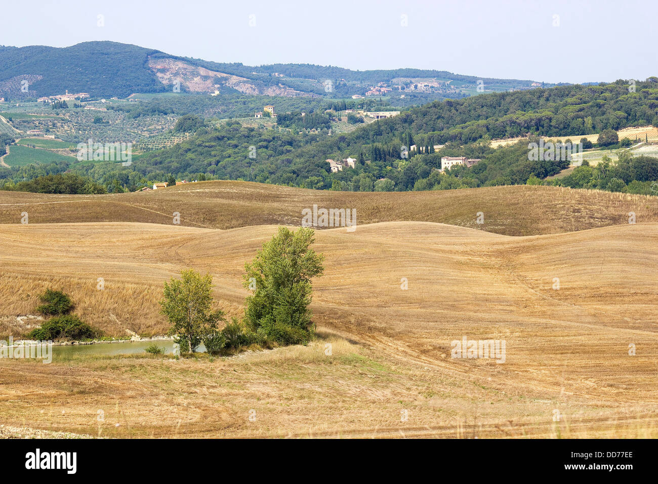 Tipico paesaggio toscano Foto Stock