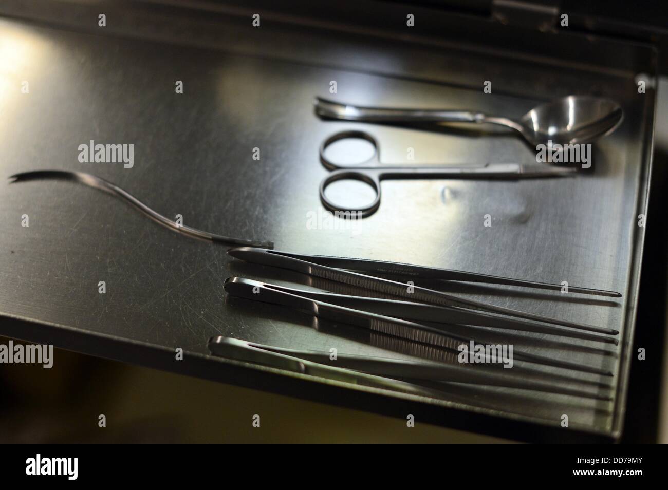 Autopsia degli strumenti si trovano nella sala di dissezione dell'Istituto di medicina legale di Berlino, Germania, 26 agosto 2013. Foto: Jens Kalaene Foto Stock