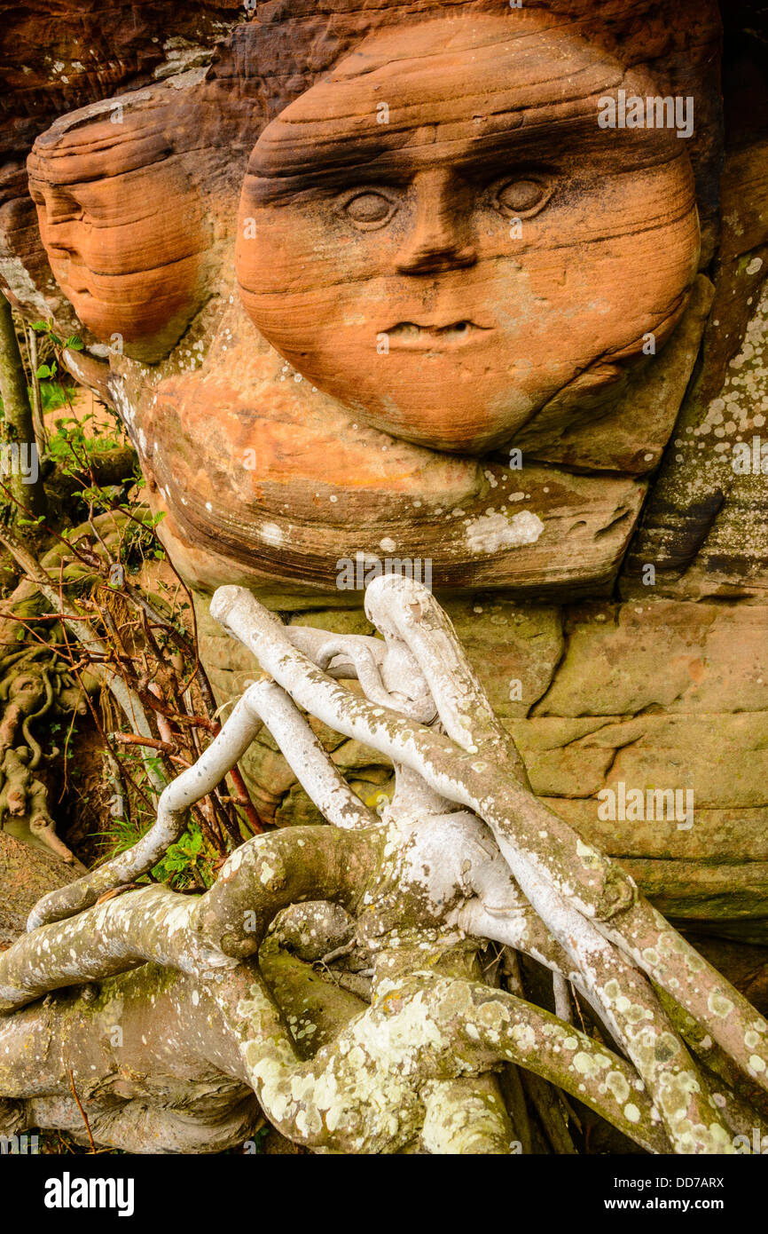 Volti scolpiti in pietra arenaria accanto al fiume Eden vicino Armathwaite Cumbria Foto Stock