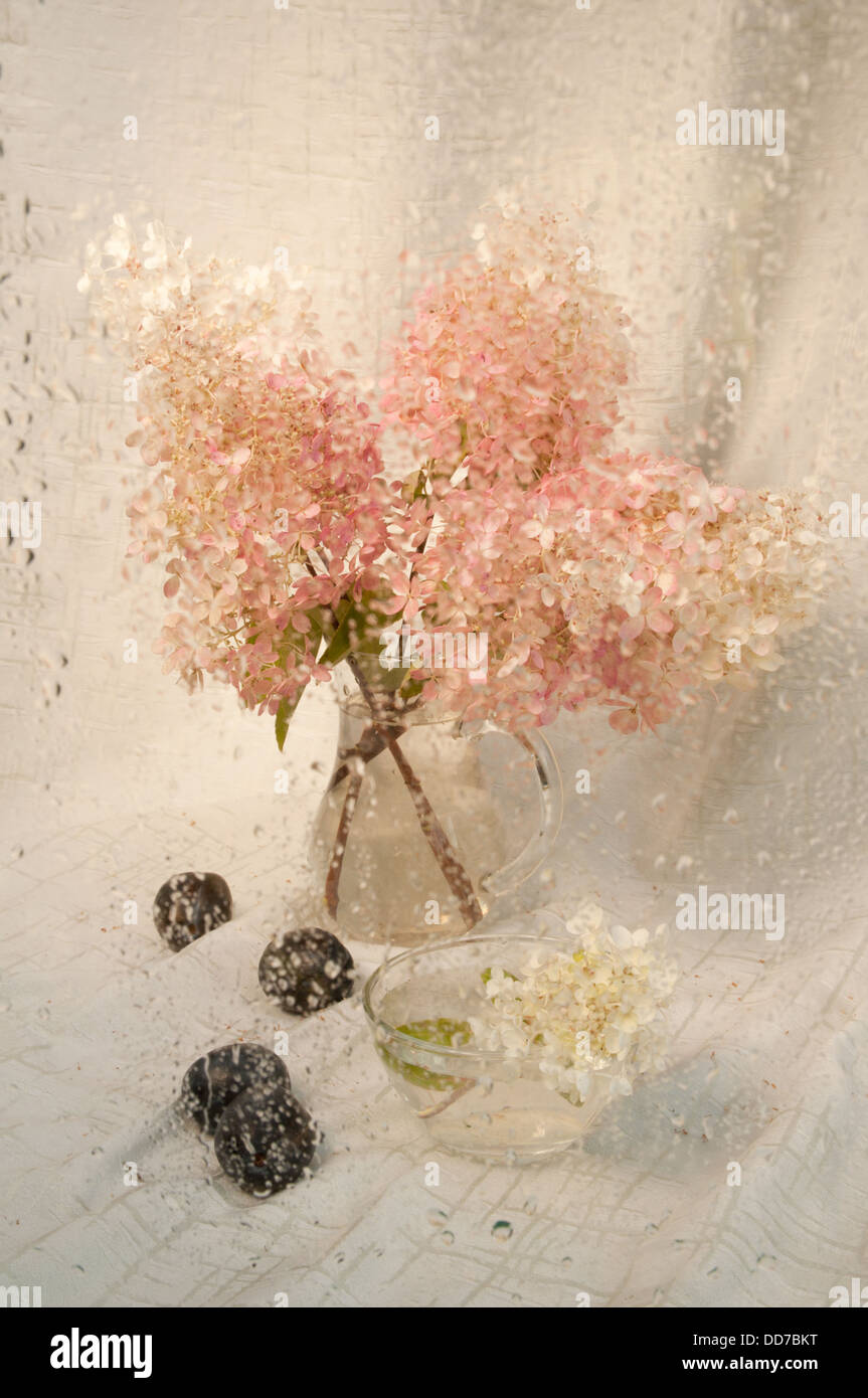 Ancora umido la vita con rosa bouquet ortensie attraverso vetro bagnato Foto Stock