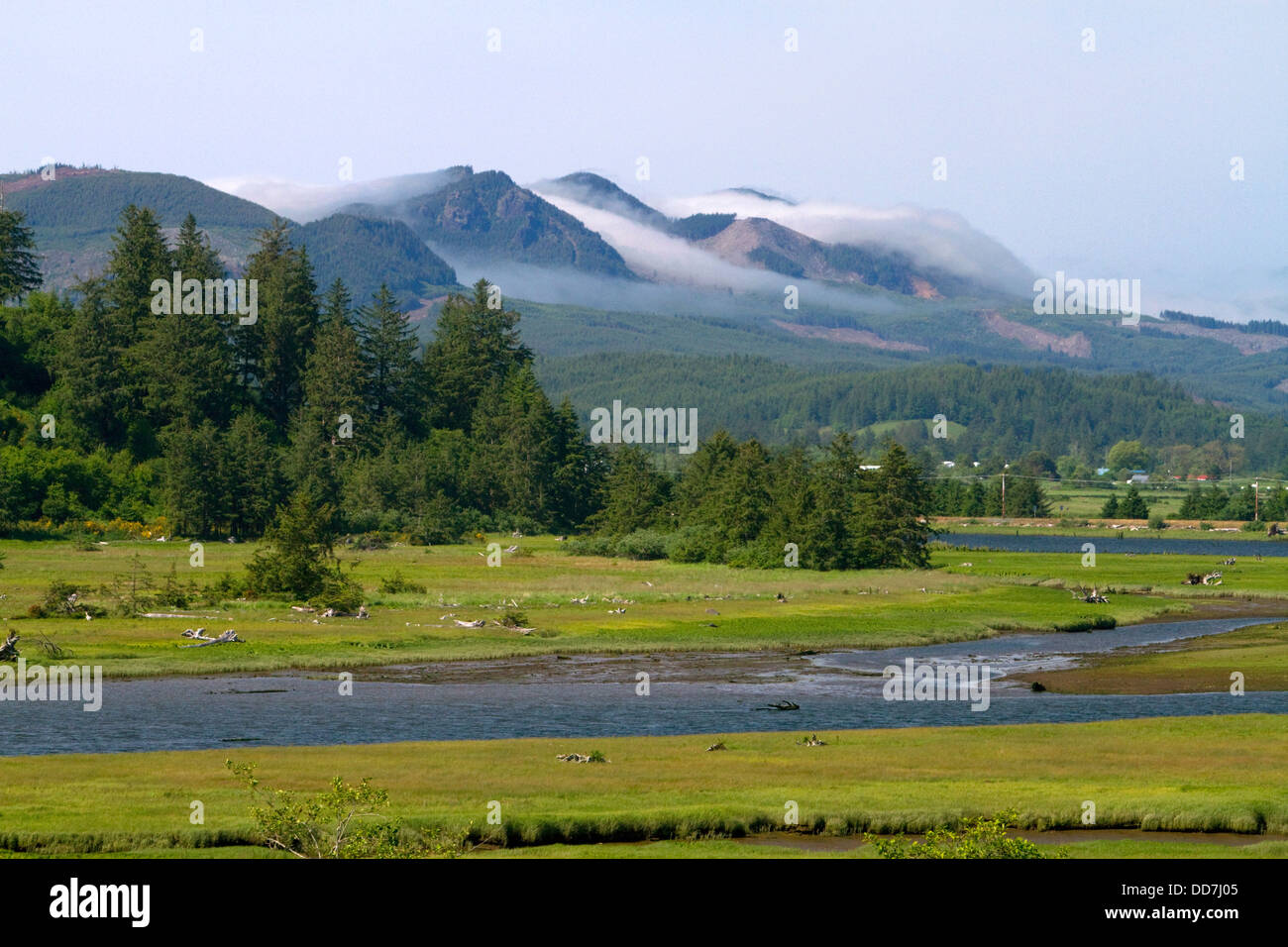 Nebbia costiera proveniente da sopra le montagne vicino a Nehalem in Tillamook County, Oregon, Stati Uniti d'America. Foto Stock
