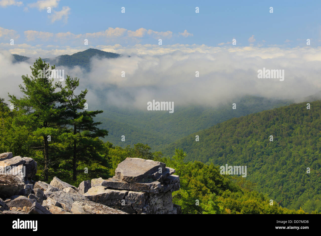 Vista dall'Appalachian Trail, Blackrock Mountain, Parco Nazionale di Shenandoah, Virginia, Stati Uniti d'America Foto Stock