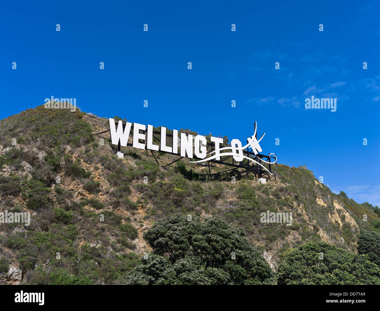Dh Evans Bay WELLINGTON Nuova Zelanda Wellington ventoso segno su una collina vicino aeroporto lyall bay wellywood Foto Stock