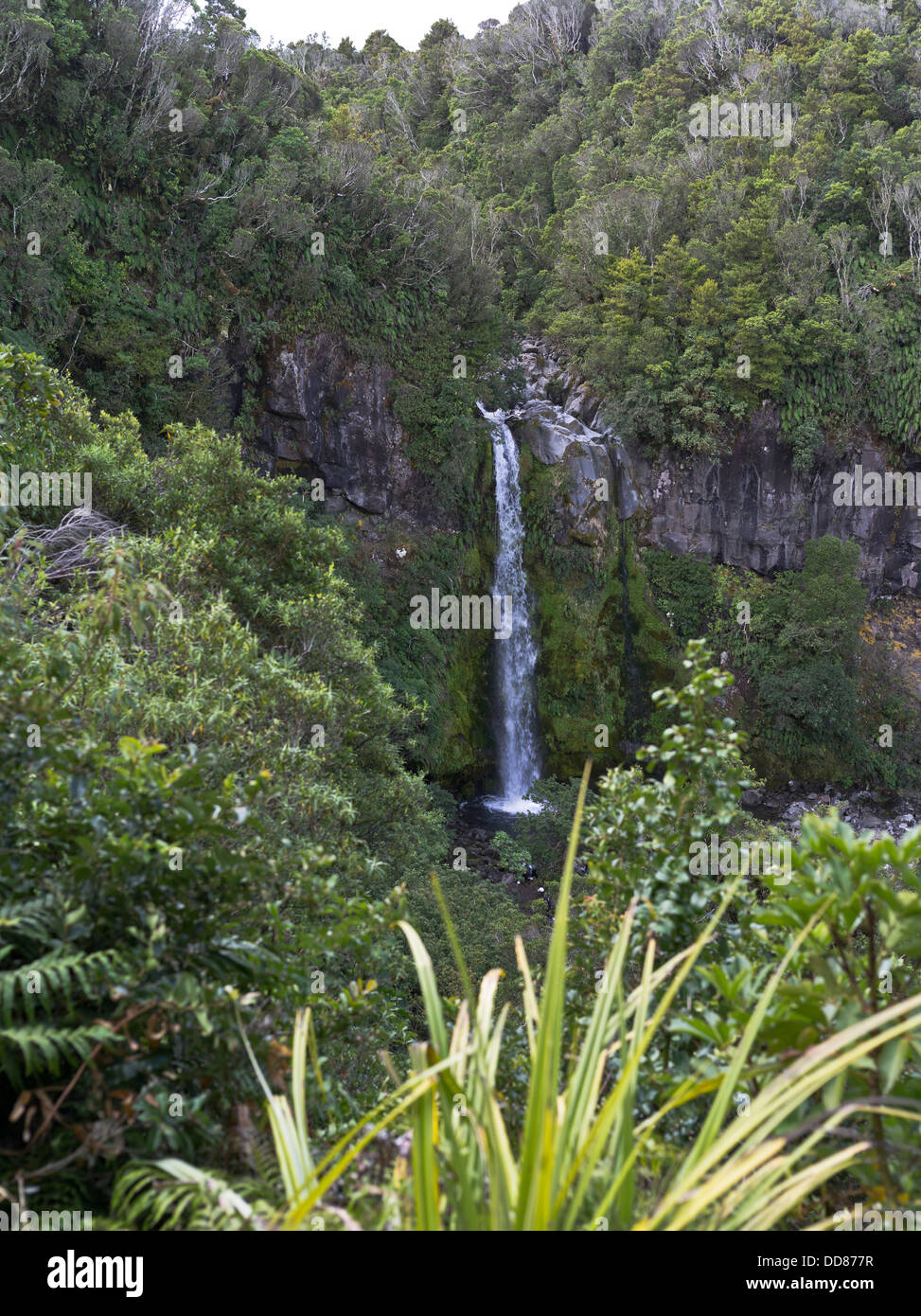 Dh Dawson cade TARANAKI NUOVA ZELANDA Waterfall Egmont Parco Nazionale di flusso verso il basso Mount Taranaki acqua caduta Foto Stock