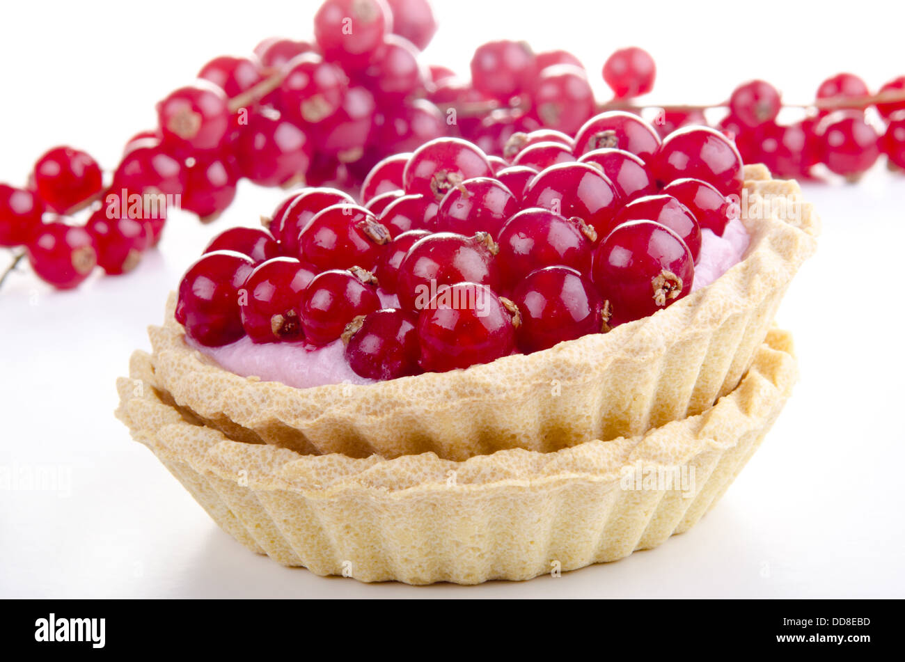 Caso di pasticceria con raccolti di fresco Ribes rosso Foto Stock