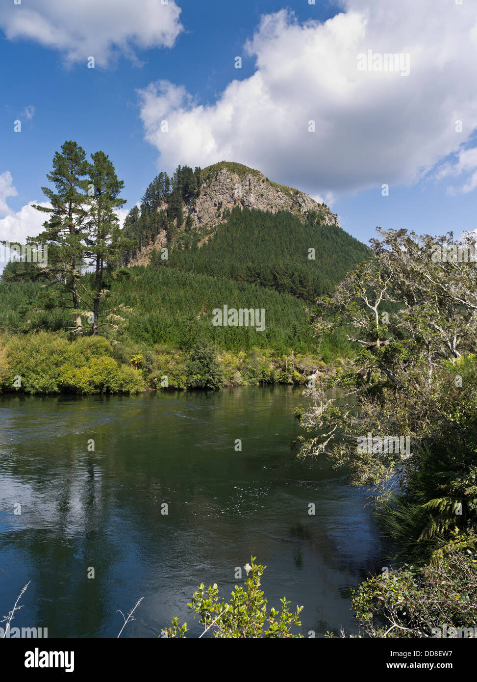 Dh Pohaturoa WAIKATO Nuova Zelanda Waikato fiume alta riolite duomo di lava vulcanica rupe spina scenic river rock Foto Stock