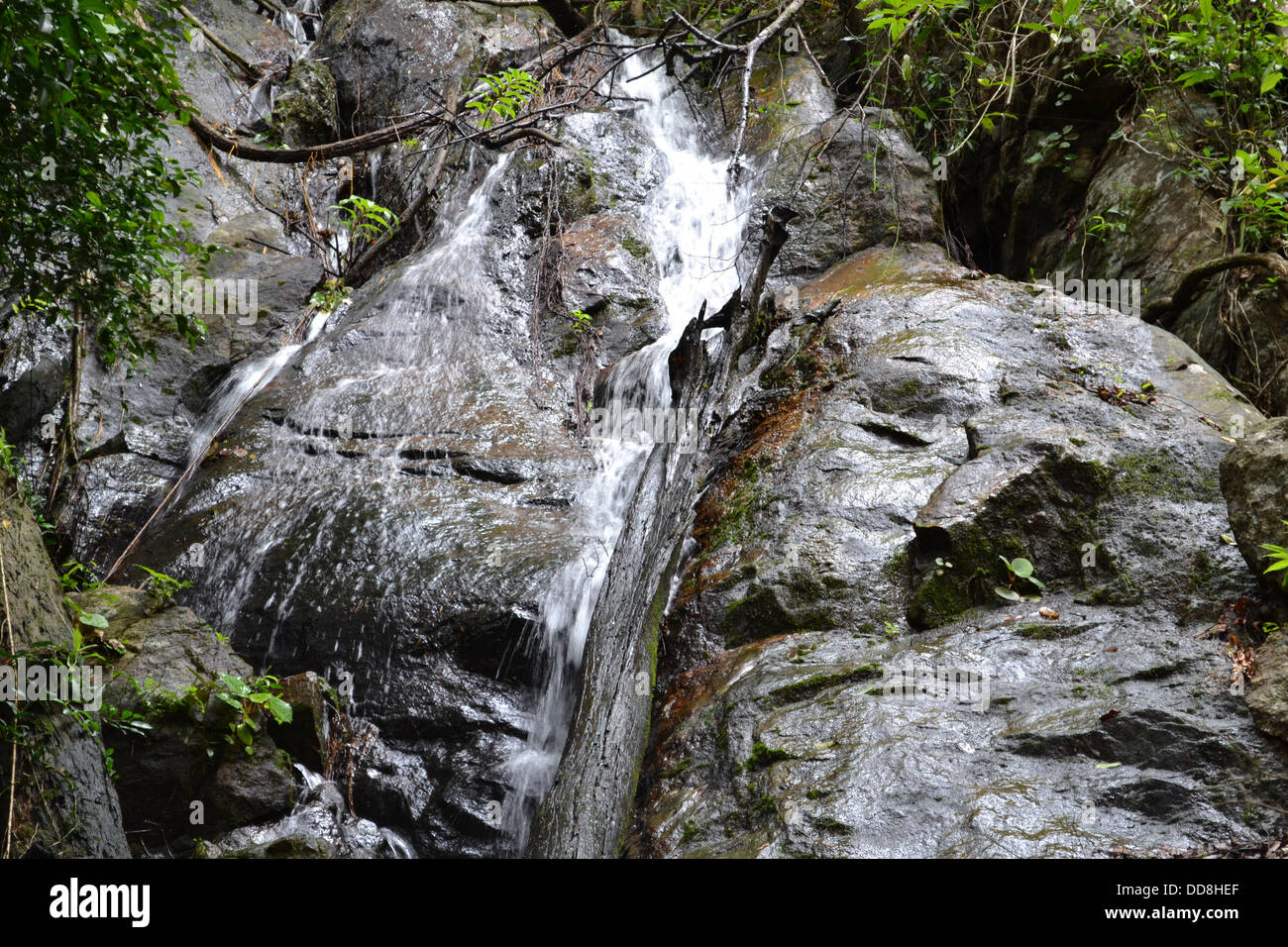 flusso dell'acqua Foto Stock