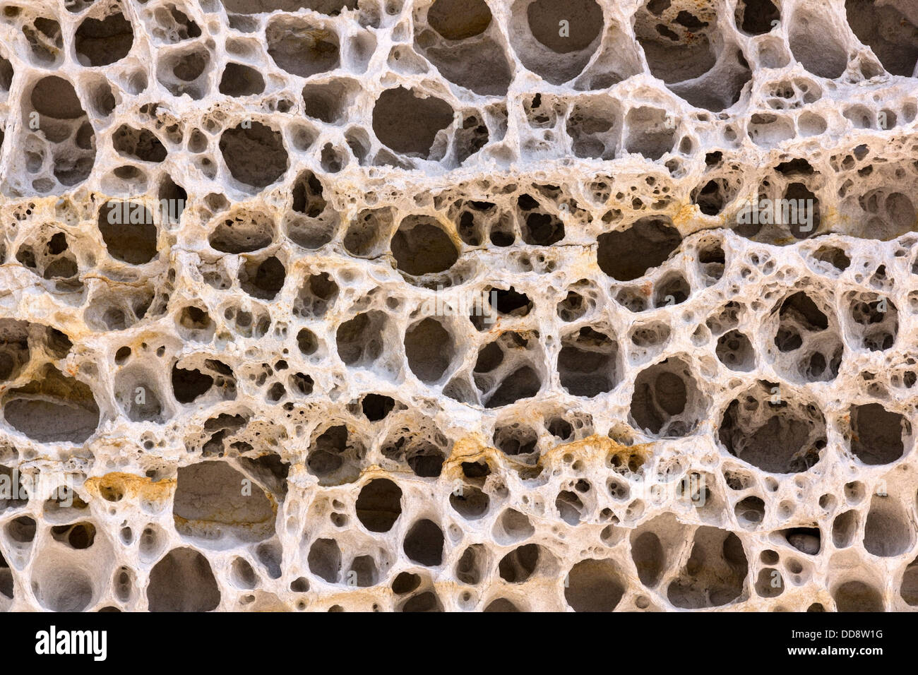 Nido weathered roccia arenaria su scogliere, Elgol beach, Isola di Skye, Scotland, Regno Unito Foto Stock