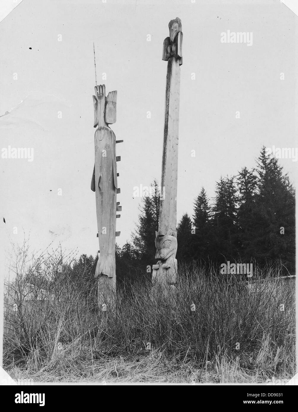 Questa fotografia mostra i pali delle tombe dei Khinkwan, un popolo o una tribù indigena. I posti fungono da marcatori per i siti di sepoltura, rappresentando un aspetto importante delle loro pratiche e credenze culturali. Foto Stock