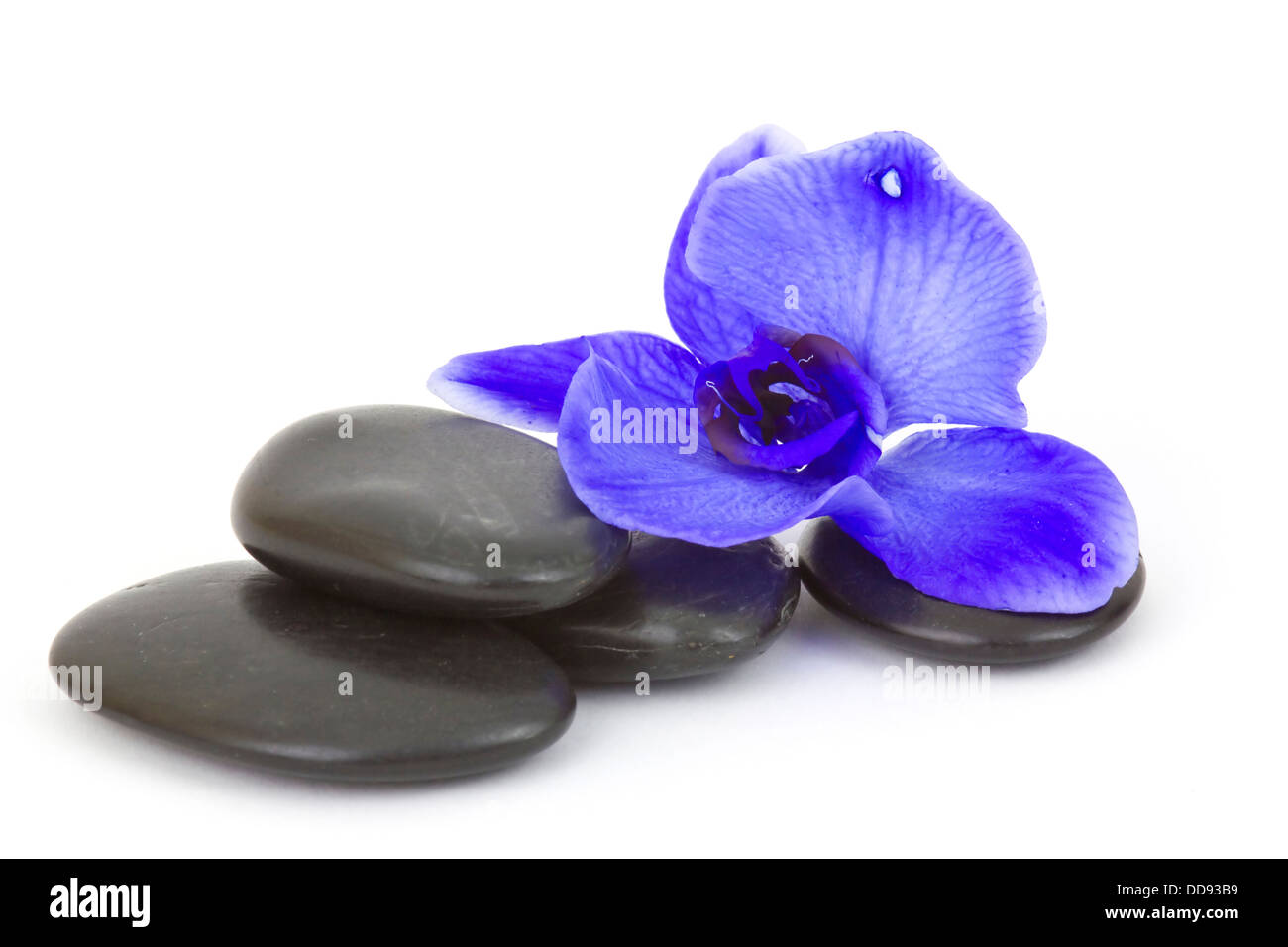 Massaggi pietre e fiori di orchidea Foto Stock