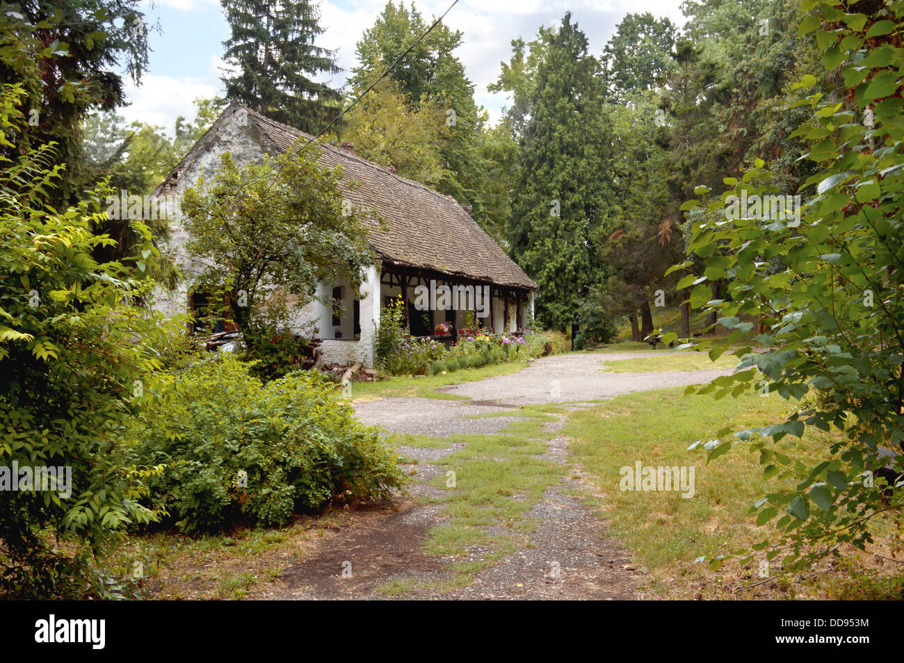 Una vecchia casa in un bosco in autunno il giorno. Foto Stock