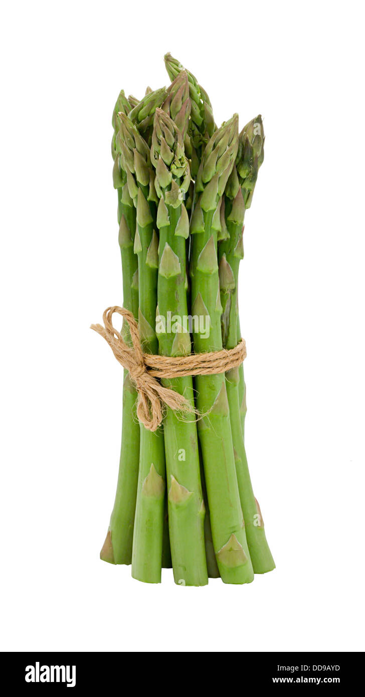 Freschi asparagi verdi mazzetto un premio stagionale su vegetale isolata contro uno sfondo bianco Foto Stock