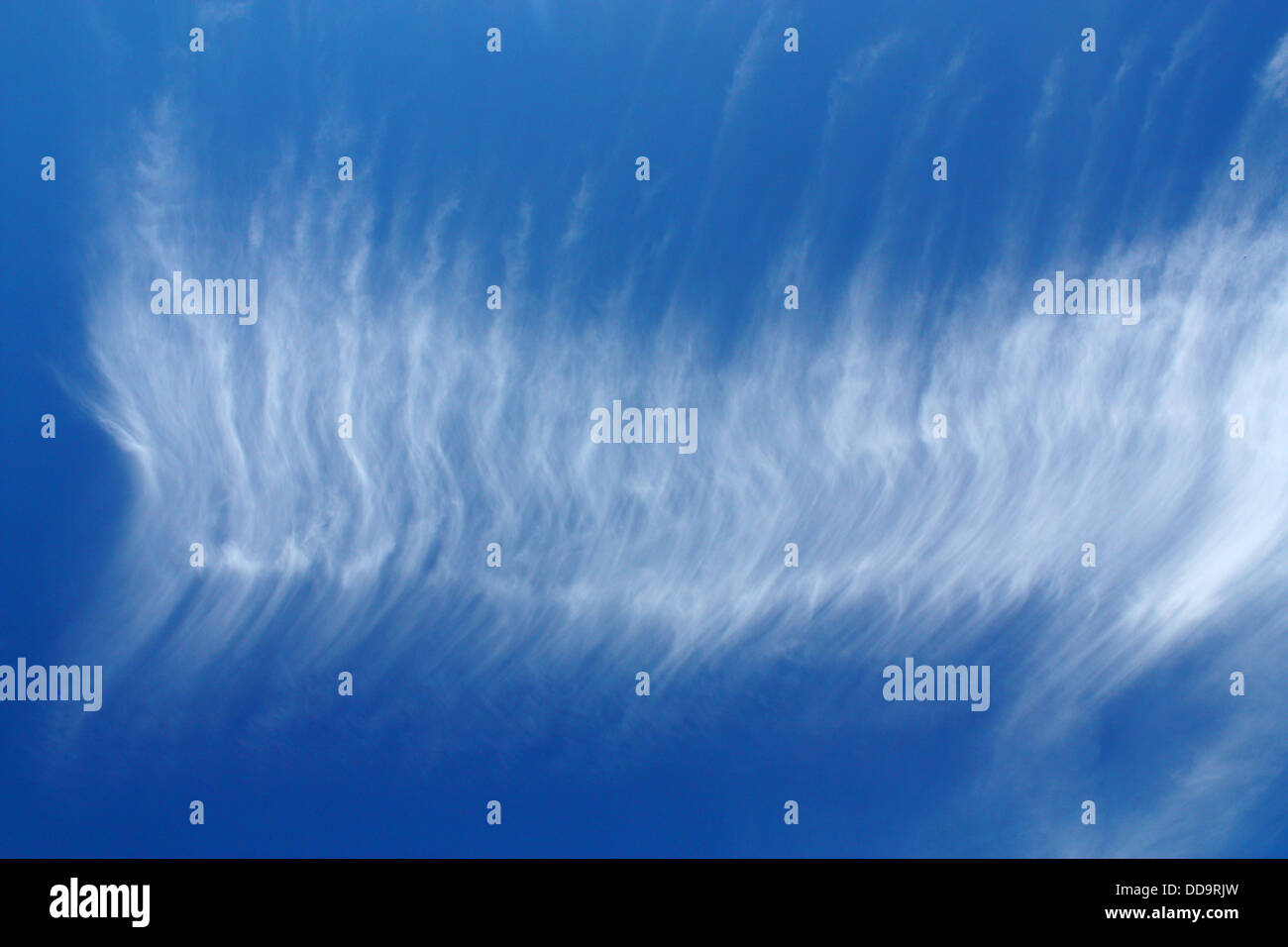 Reticolo della nube Foto Stock