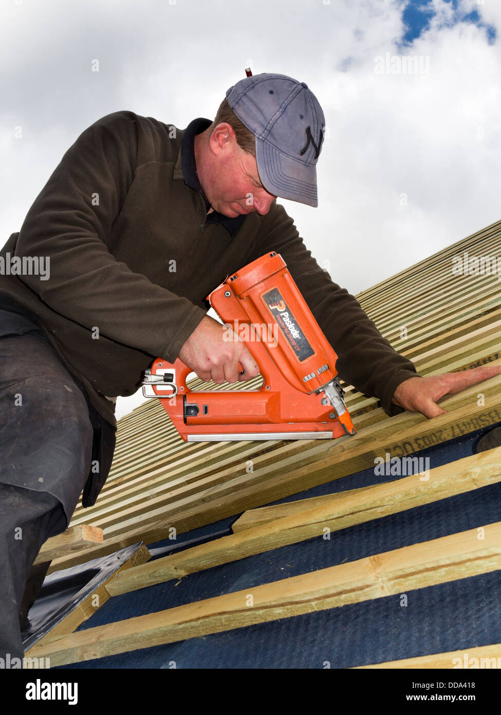 Auto casa Costruzione, costruzione tetto, lavoratore fissaggio di listelli di legno utilizzando paslode pistola sparachiodi Foto Stock