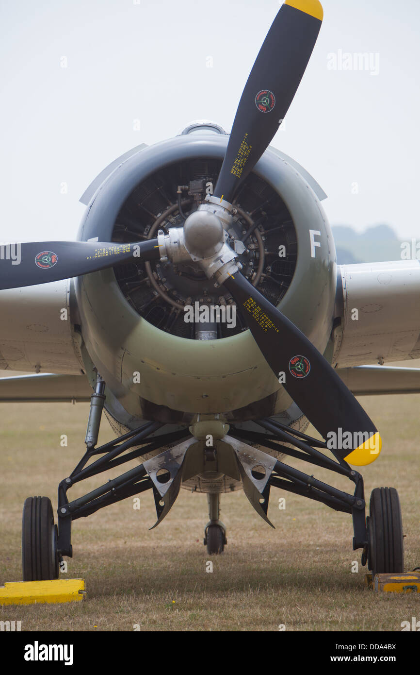 Wildcat ww2 Fighter Aircraft all'Imperial War nuseum Duxford, Flying Legends air display Foto Stock