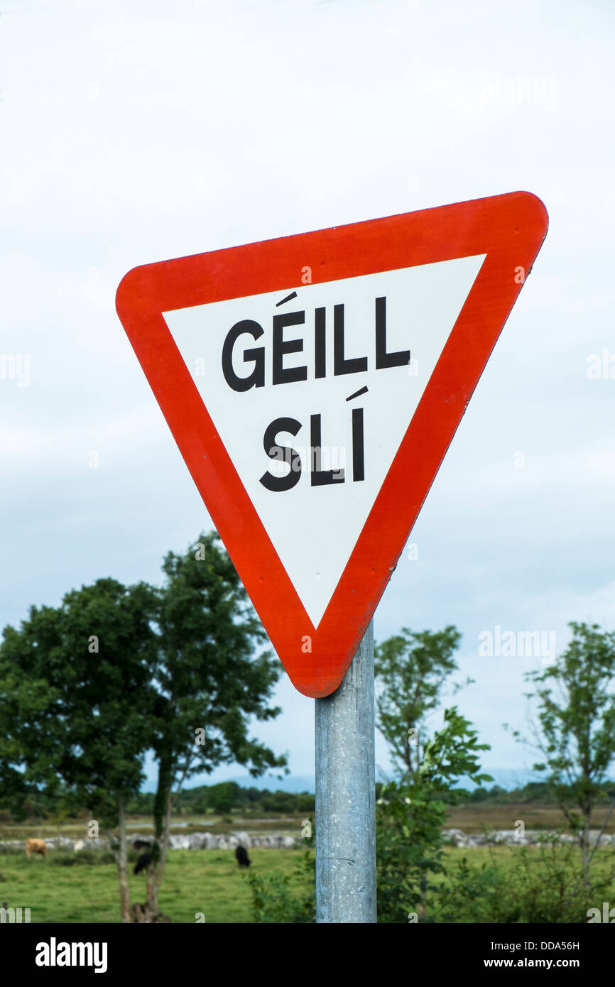 La strada internazionale segno per dare modo, con le parole in irlandese / gaelico, visto nell' Irlanda occidentale Foto Stock