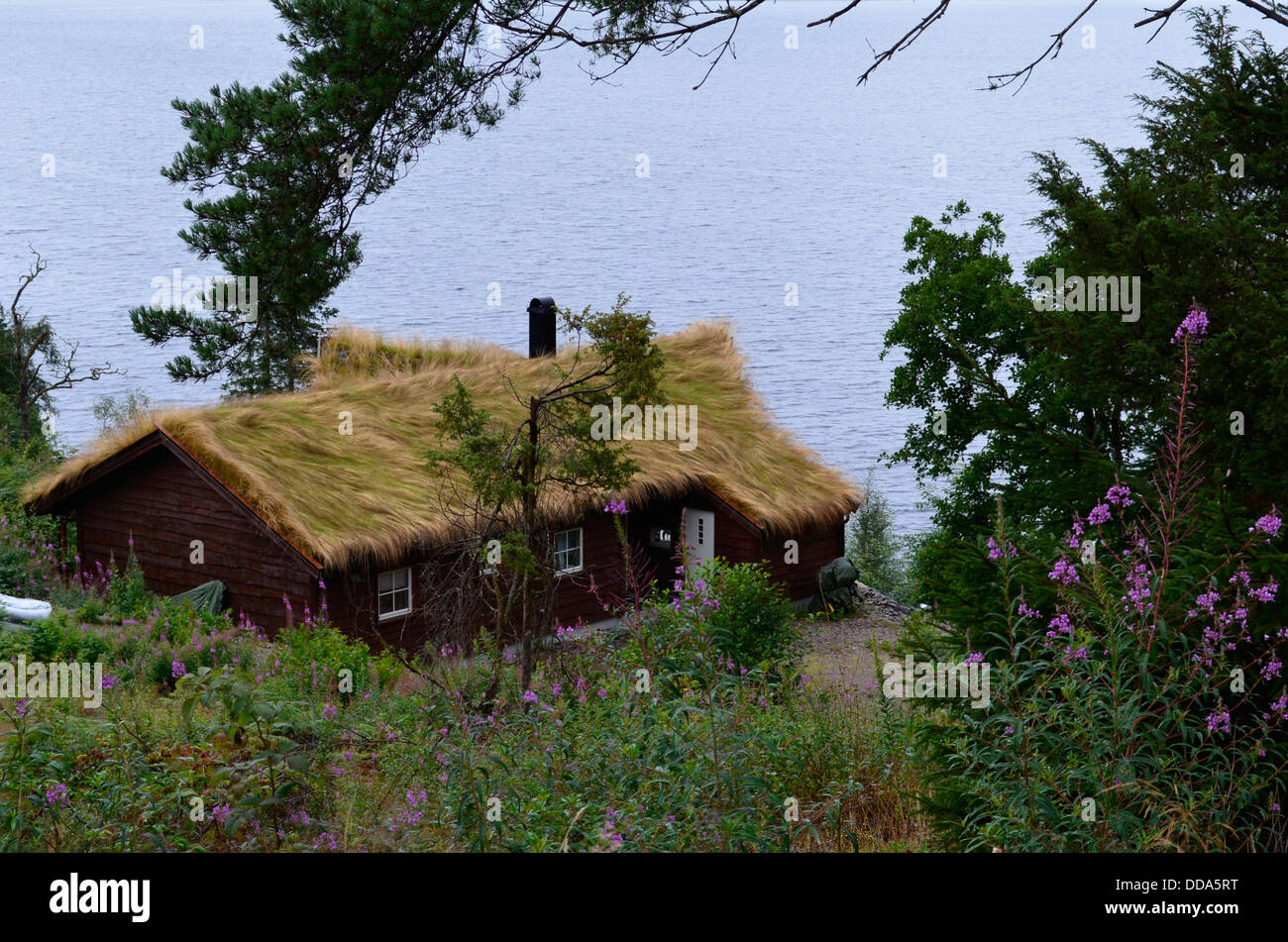 Norwegian cabina con tetto di erba Foto Stock