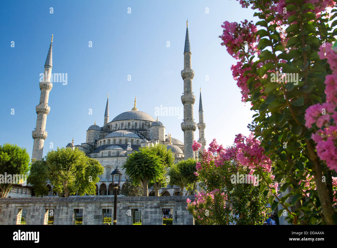 La Moschea Blu (Sultanahmet Camii), Istanbul, Turchia Foto Stock