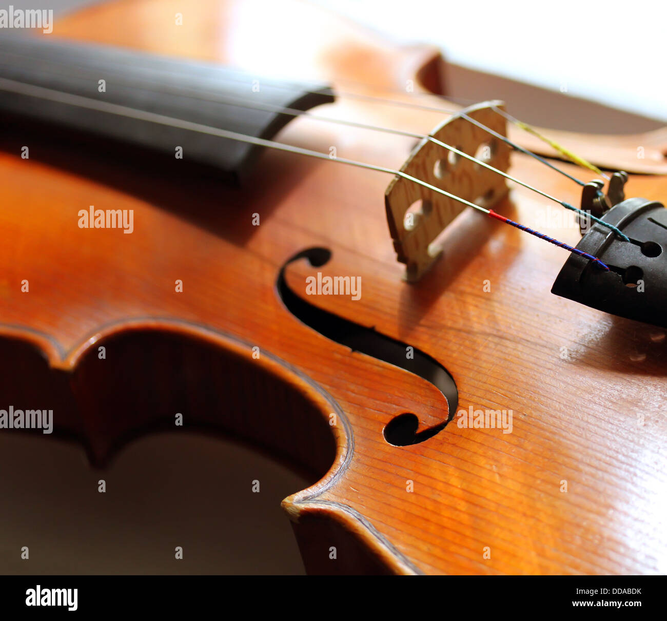 Immagine ravvicinata di un violino Foto Stock