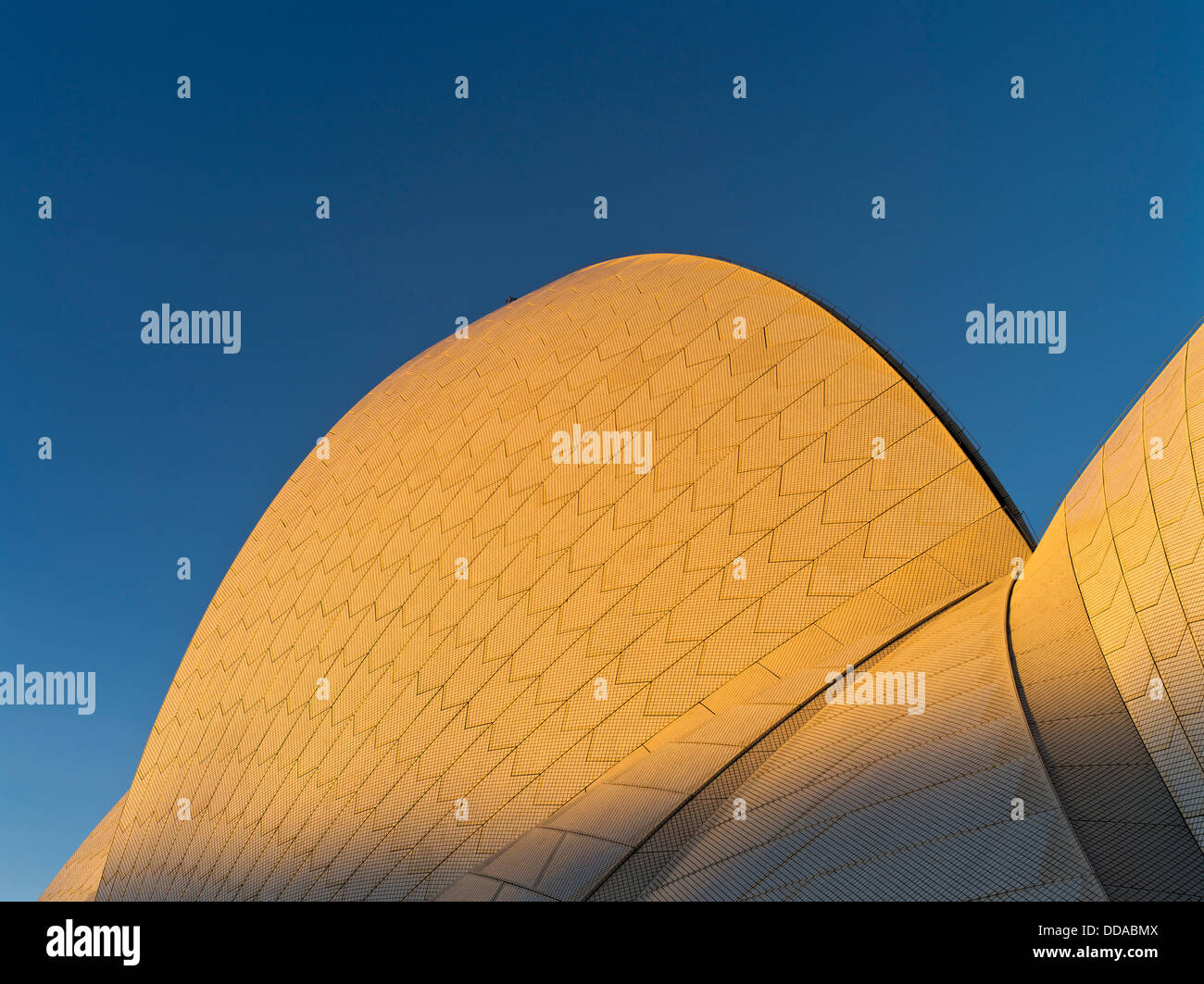 dh Sydney Opera House Roof SYDNEY AUSTRALIA NSW luce serale piastrelle primo piano su architettura piastrelle Foto Stock