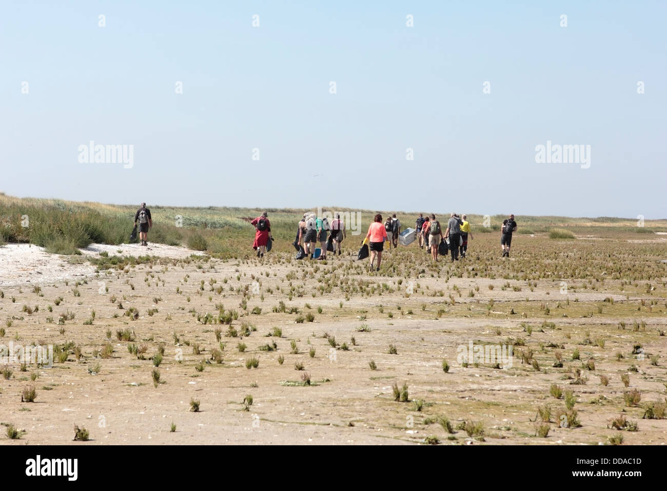 Tour dei monumenti della natura Griend sull isola di Wadden, Paesi Bassi Foto Stock