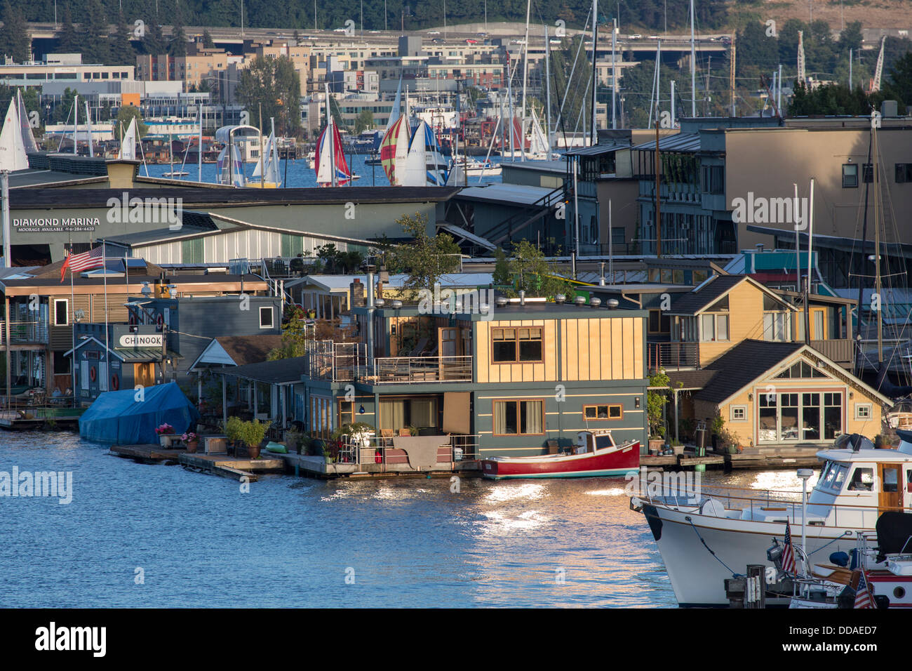 Stati Uniti, Washington. Seattle, il Lago Union, barche a vela, houseboats Foto Stock