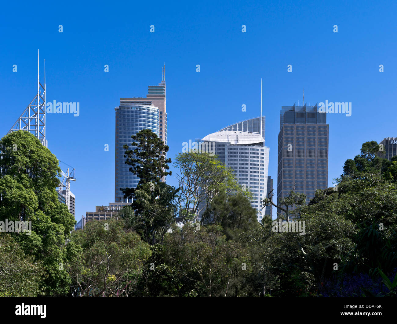 Dh Royal Botanic Gardens Sydney Australia alberi Park Central Business District skyline della città di edifici Foto Stock