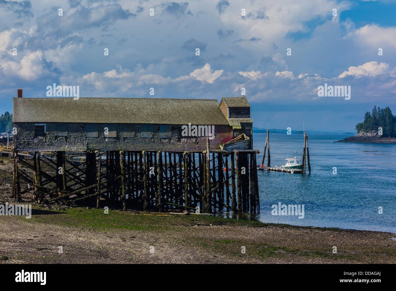 Un vecchio legno stagionato clapboard facciata di trasformazione del pesce edificio su palafitte sul litorale a Lubec, Maine. Foto Stock