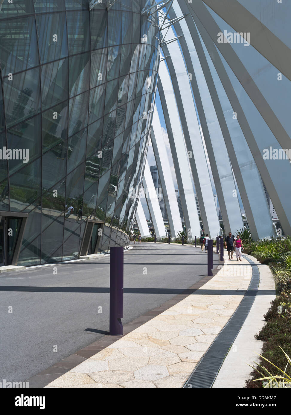 dh Flower Dome edificio GIARDINI PRESSO LA BAY SINGAPORE coppia a piedi refrigerati Conservatori architettura passeggiata giardino turisti architettura moderna Foto Stock