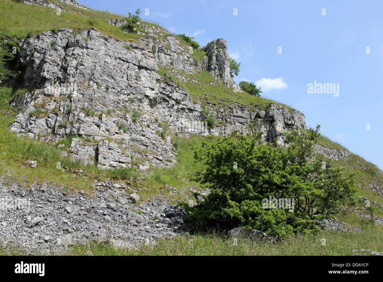 Roccia calcarea a Lathkill Dale, Derbyshire, Regno Unito Foto Stock