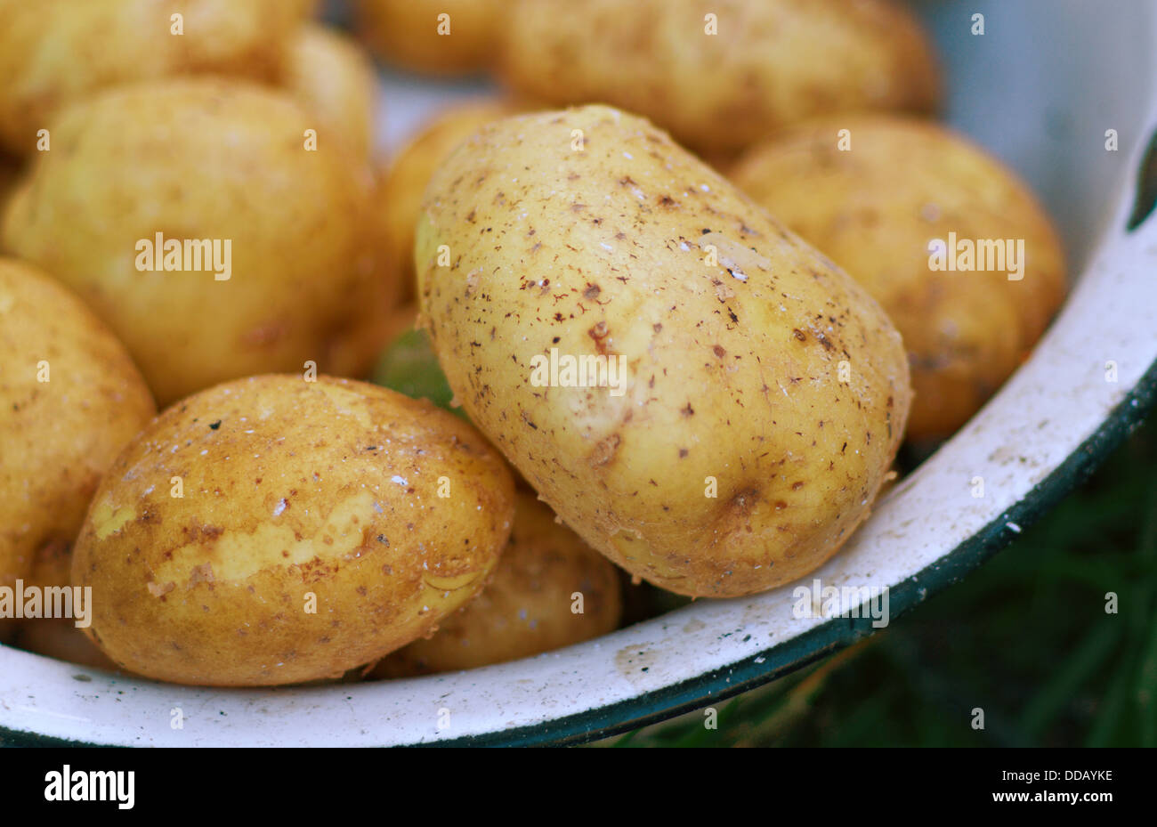 Carni saporite patate di primizia. Messa a fuoco selettiva Foto Stock