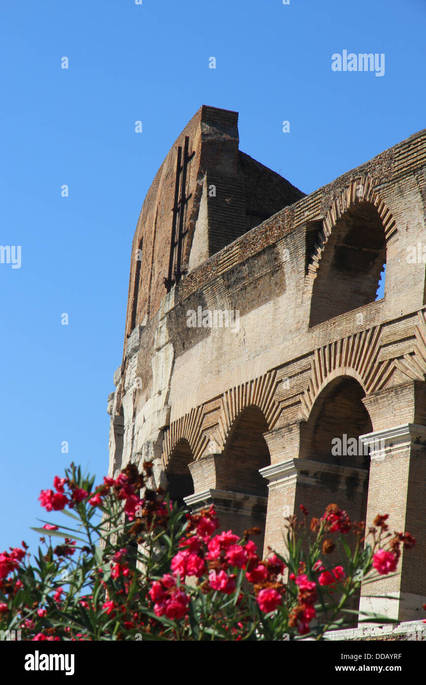 Gli archi del Colosseo e piante fiorite di oleandri in Roma 7 Foto Stock