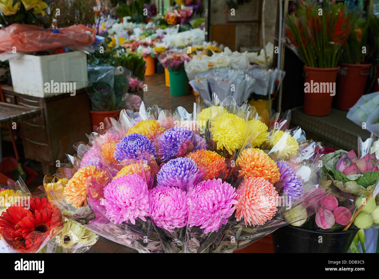 Cina, Hong Kong, Kowloon Mongkok, Flower Market Road Foto Stock