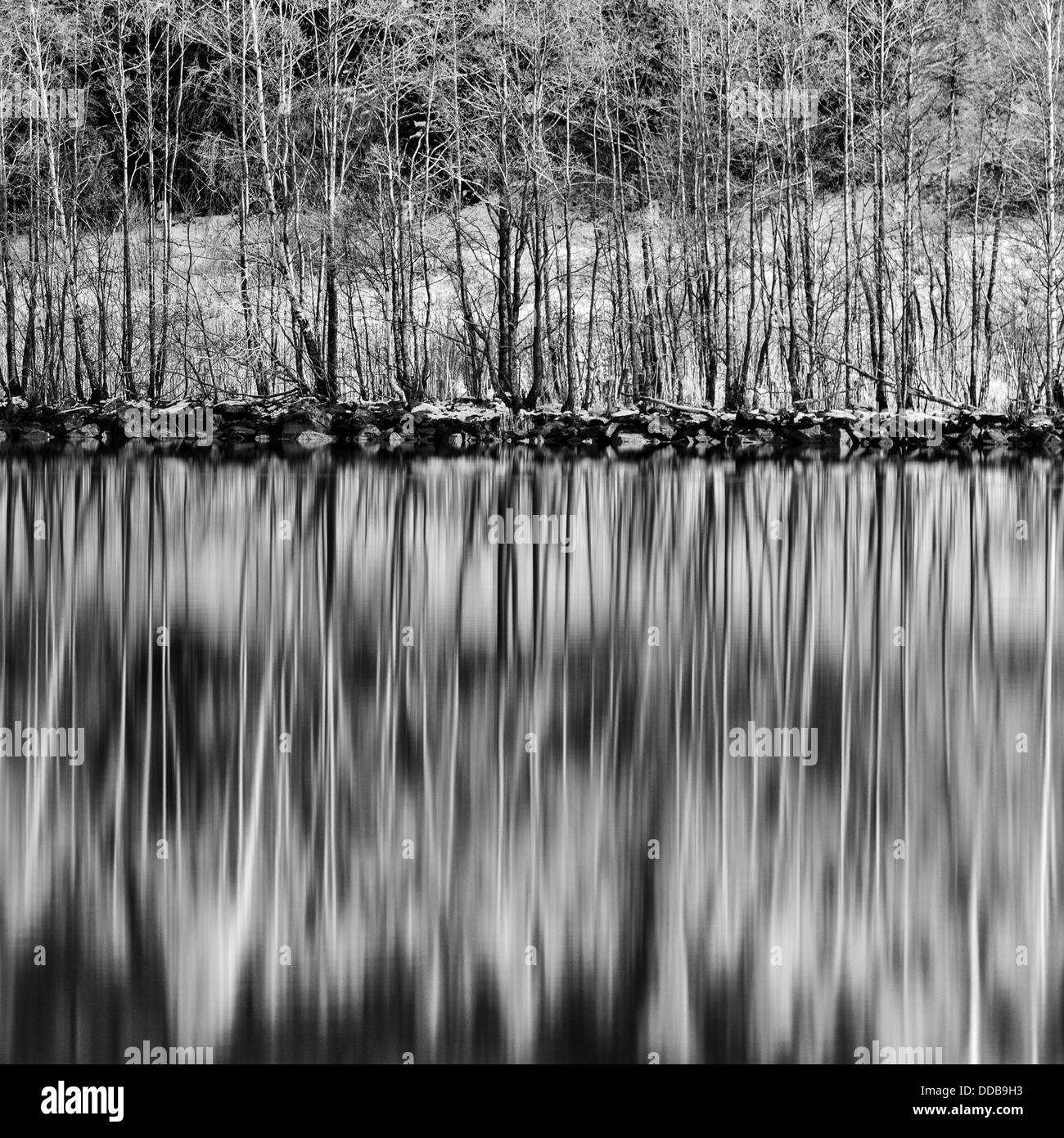 Alberi riflessa nell'acqua, la Göta Älv, Svezia Foto Stock