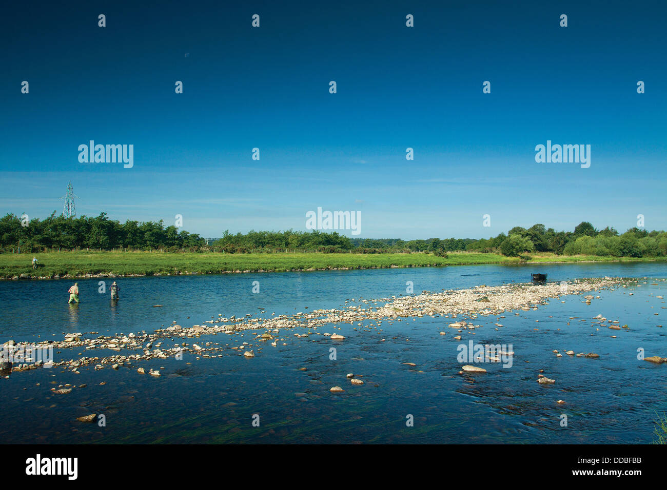 I pescatori sul fiume Spey a Fochabers, Moray Foto Stock