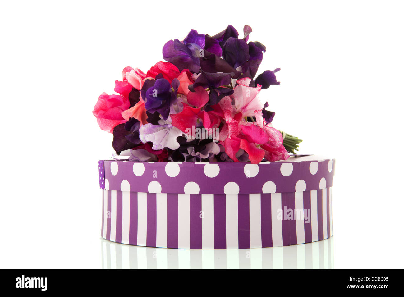 Regalo di compleanno Foto Stock