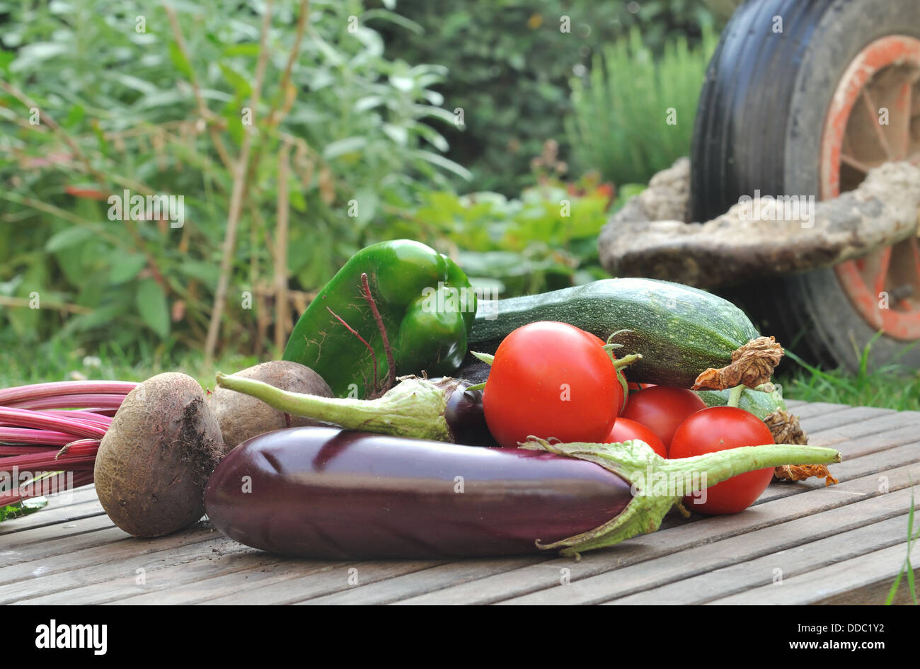 Appena raccolto verdure collocato su un listone in giardino Foto Stock