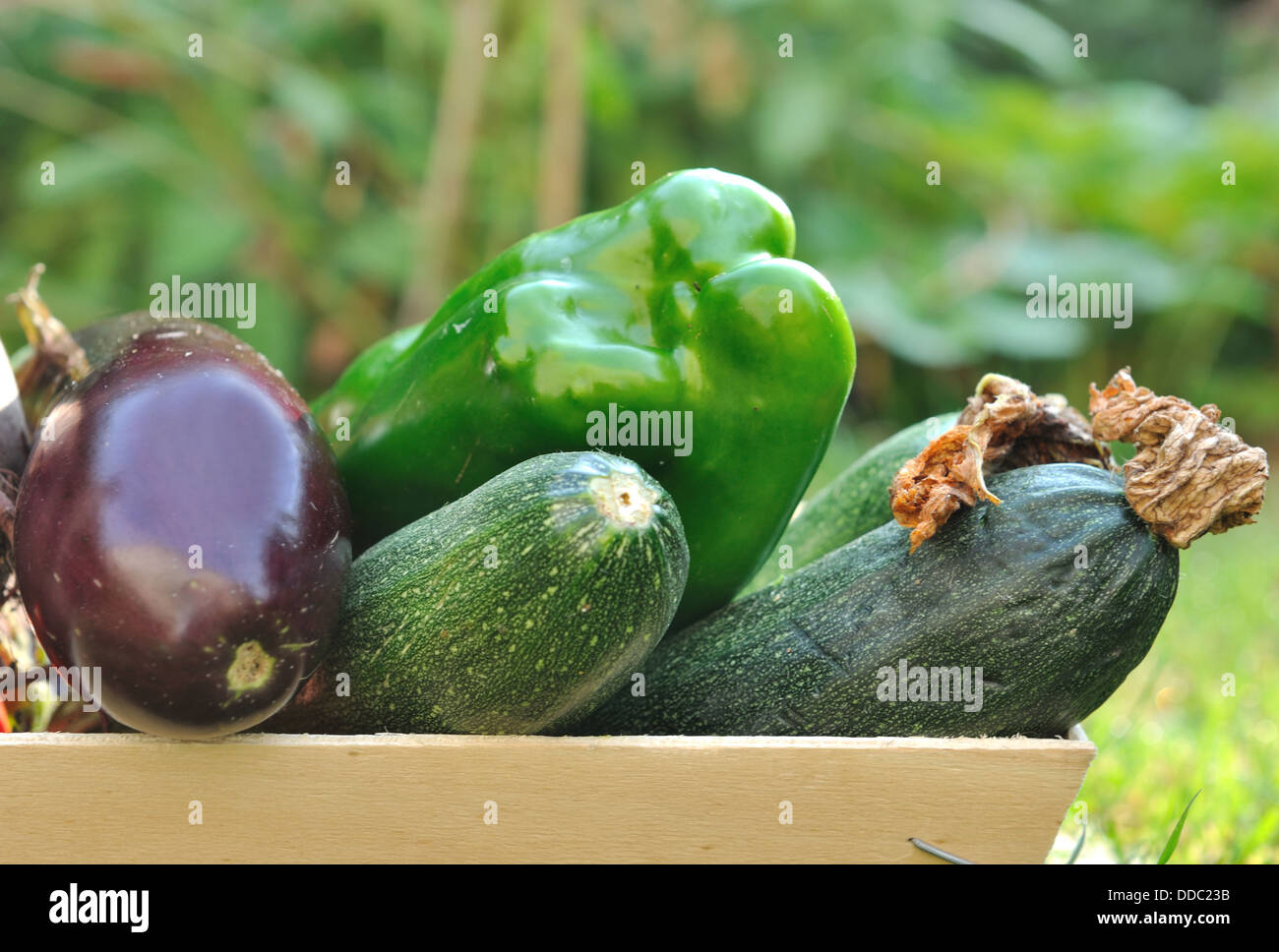 Chiudere stagionale sul verdure fresche in una scatola Foto Stock